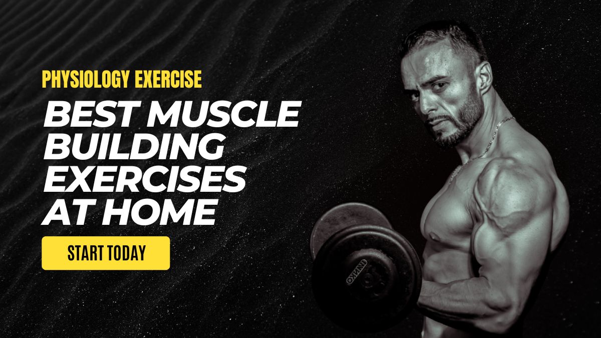 Best muscle building exercises at home 2024