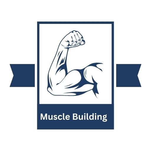 muscle building