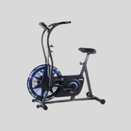 Stamina Exercise Bike